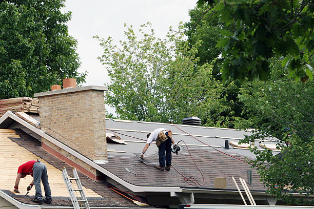Best Roof Gutter Cleaning  in North Auburn, CA